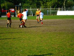 0DIA 1984 RAVA PUPS 1